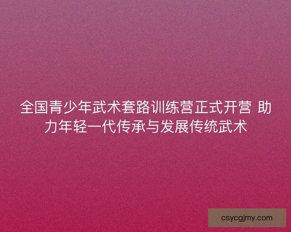 全国青少年武术套路训练营正式开营 助力年轻一代传承与发展传统武术